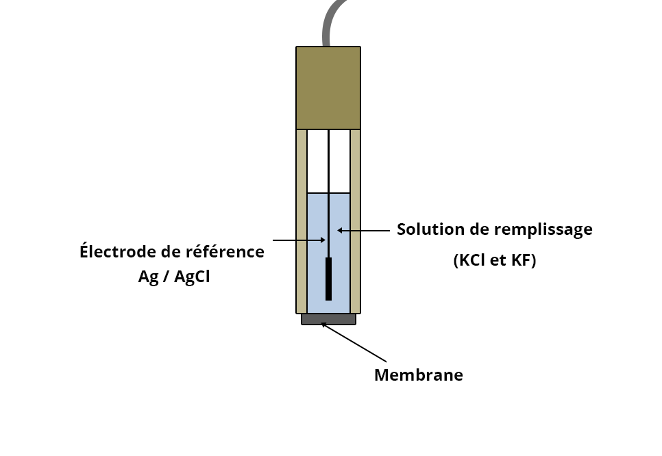 Schéma de profil de l'électrode. L'électrode de référence Ag / AgCl baigne dans une solutionde remplissage (KCl et KF). La membrane à la base n'est pas en contact direct avec l'électrode.