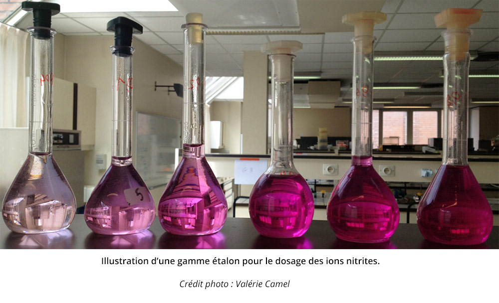 Illustration d'une gamme étalon pour le dosage des ions nitrites. 6 fioles contiennent un liquide violet de coloration de plus en plus prononcée.