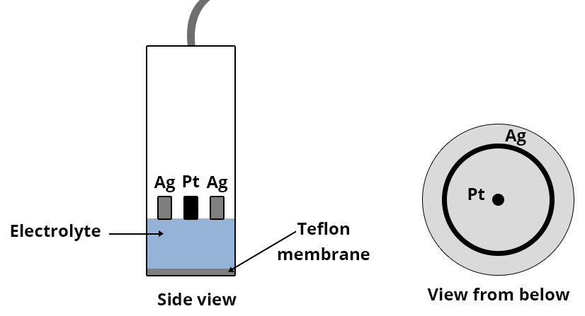 Side and bottom views of the platinum (Pt) electrode in the center and the silver (Ag) electrode around it.