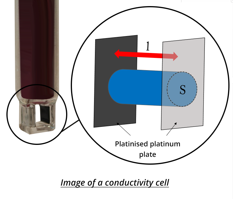 Diagram of a conductimetric cell. At the base of the cell are two platinum plates. The plates are separated by a length l, and of surface S.