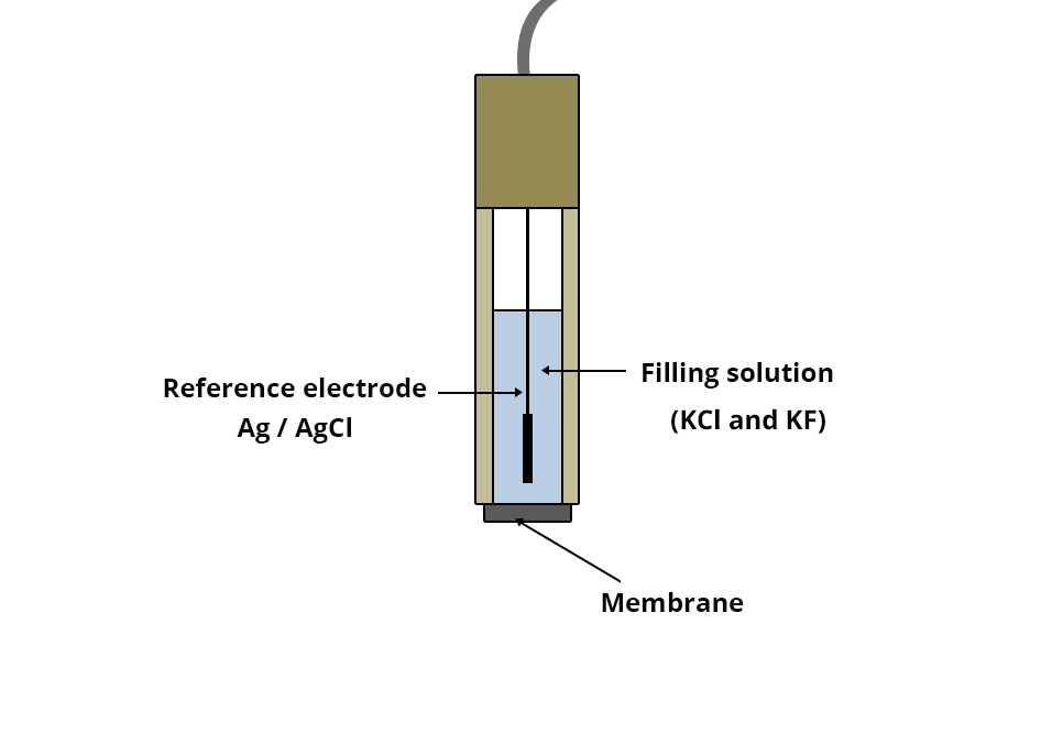 Profile diagram of the electrode. The Ag / AgCl reference electrode is immersed in a filling solution (KCl and KF). The membrane at the base is not in direct contact with the electrode.