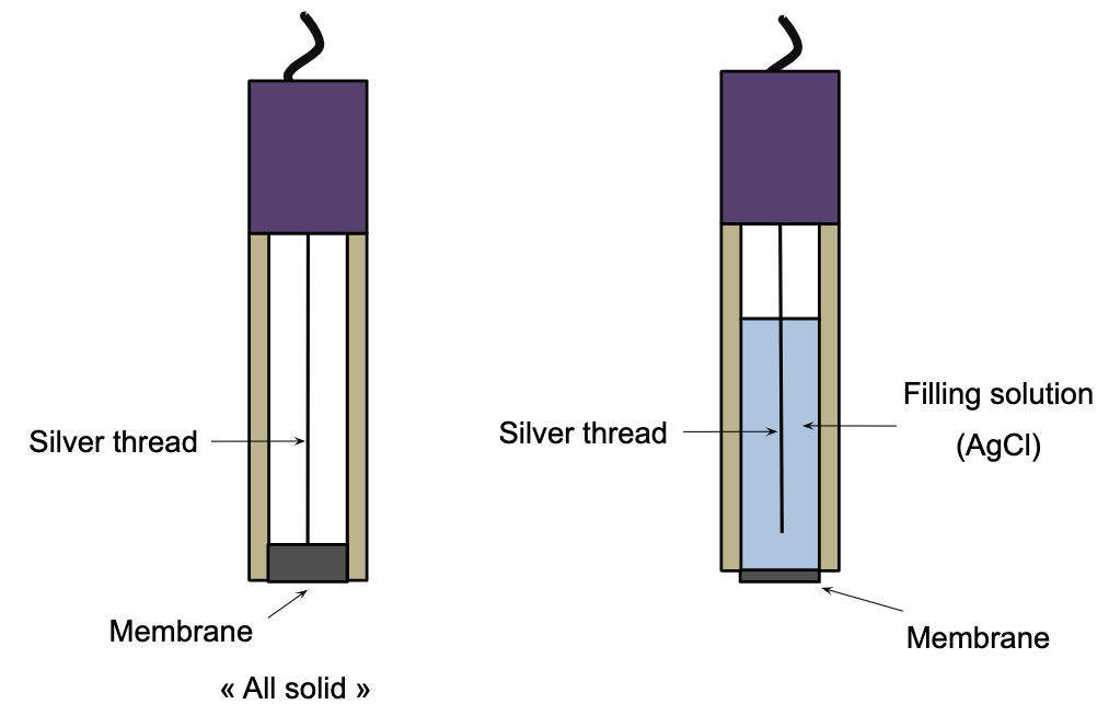 Illustration of two selective electrodes in profile view. One "all solid", with the silver wire inside, and at the base a thick membrane in contact with the silver wire. The other one: the silver wire is immersed in a solution of remplissafe (AgCl), the membrane at the base is thinner and is not in direct contact with the silver wire.