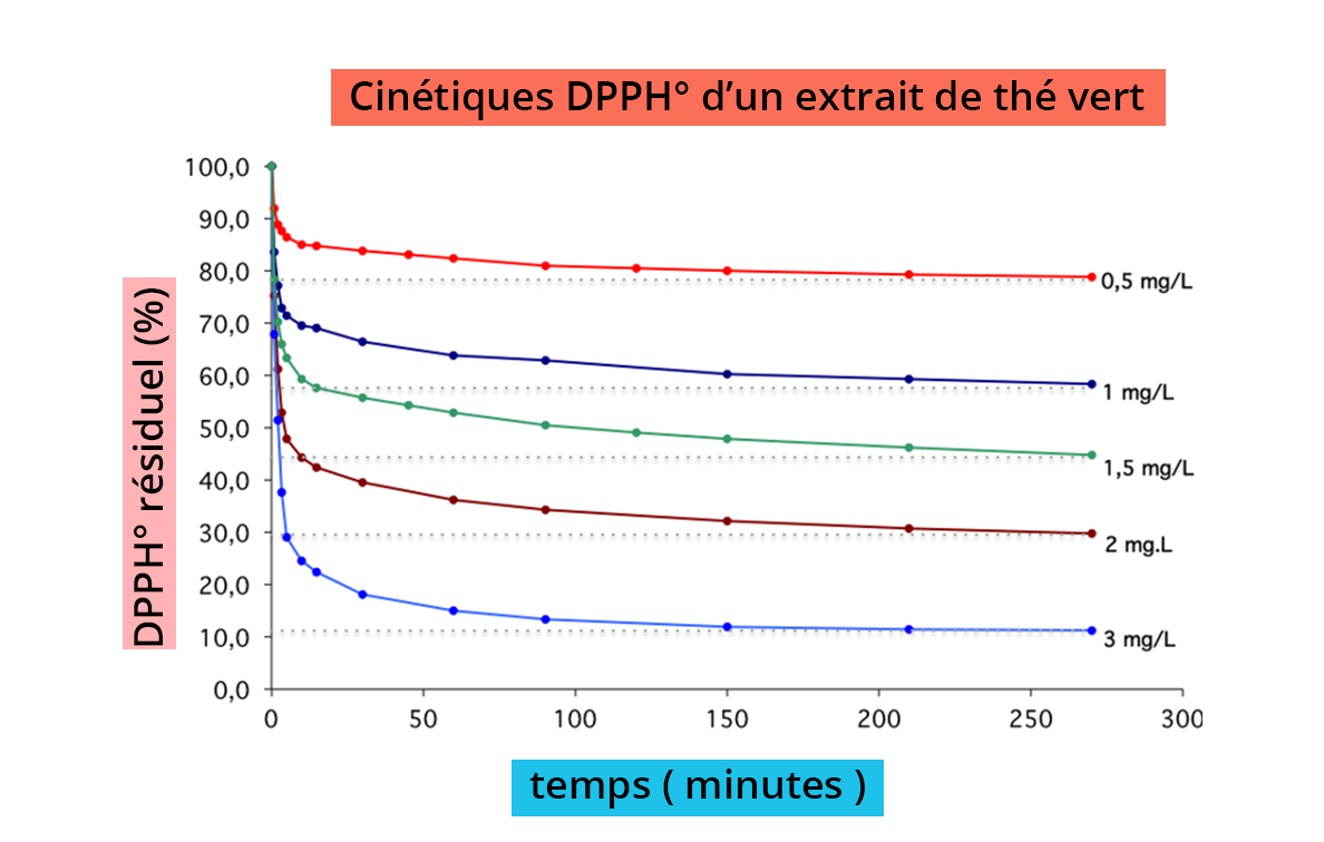 Cinétiques DDPH° d'un extrait de thé vert. 5 courbes avec la même origine mais une déclinaison de plus en plus rapide représentent 0,5 , 1, 1,5, 2 et 3 mg/L.