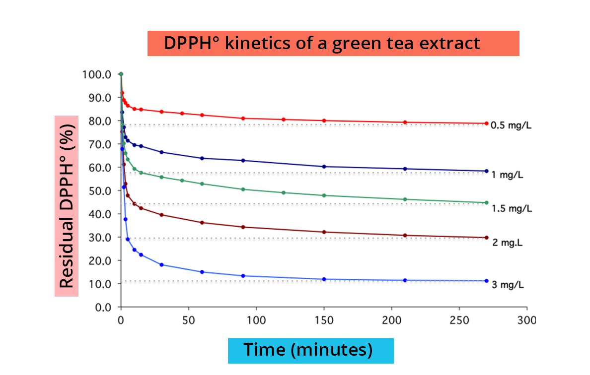 DDPH° kinetics of a green tea extract. 5 curves with the same origin but a more and more rapid decline represent 0.5, 1, 1.5, 2 and 3 mg/L.