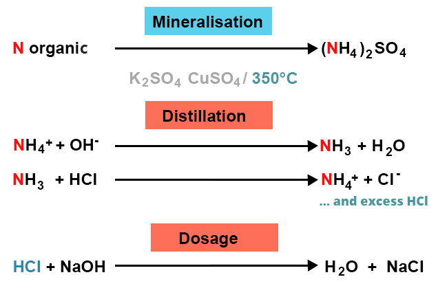 Mineralization: organic N becomes (NH4)2 SO4. Distillation : NH4+ + OH- becomes NH3 + H20. NH3 + HCl becomes NH4+ + Cl-. Determination : HCl + NaOH becomes H20 + NaCl