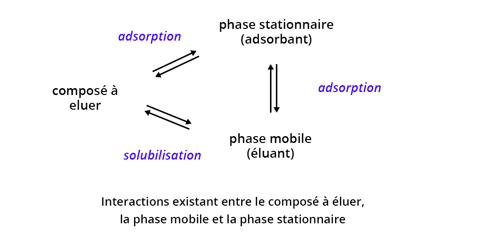 Schéma des interactions existant entre le composée à éuern, la phase mobile et la phase stationnaire. Entre le composé et la phase stationnaire : l'adsorption. Entre le composé et la phase mobile : la solubilisation. Engin, entre les phases mobiles et stationnaires : l'adsorption.