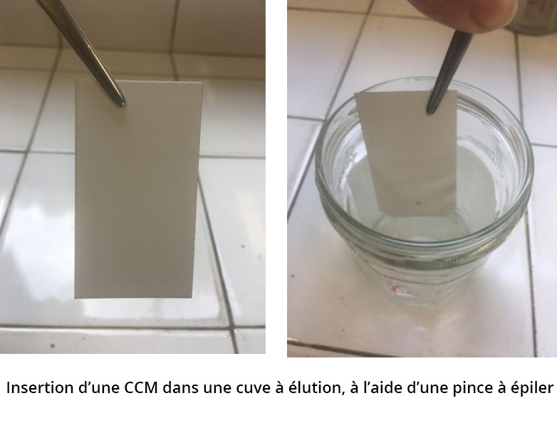 2 photos : à gauche, une plaque cd CCM tenue par une pince. A droite, la plaque est positionnée dans la cuve à élution.