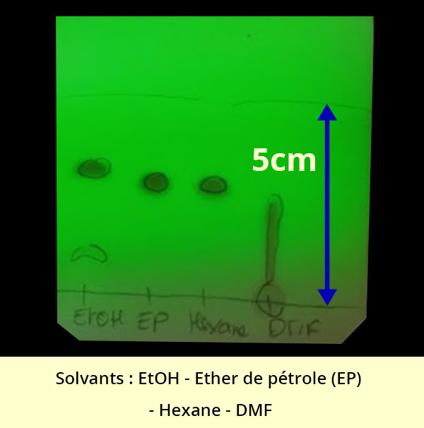 Plaque de CCM avec les solvants : EtOH, Ether de pétrole, Hexane et DMF. Une flèche indique une distance de 5cm entre la base et le front de l'éluant.