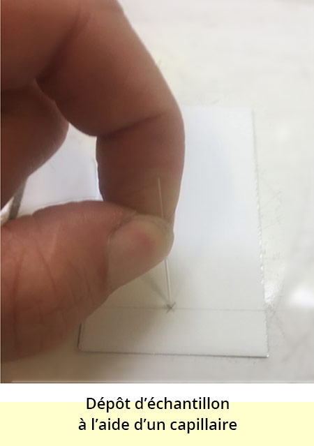 Une plaque rectangulaire blanche est marquée d'une croix au crayon de papier. Une main tiens une tige très fine, en contact avec le centre de la croix. La photo est sous titrée : dépôt d'un échantillon à l'aide d'un capillaire.
