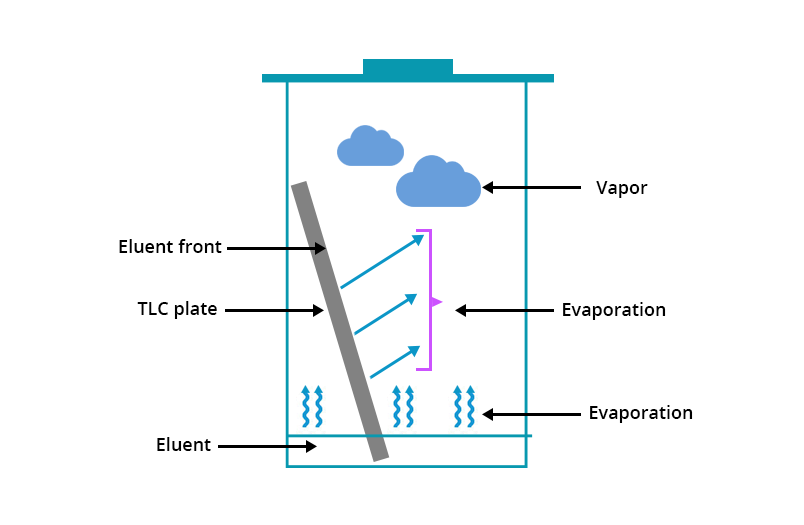 Illustration of a closed container seen from the side. At the bottom is the eluent. Above, arrows indicate its evaporation. The TLC plate is placed on the bottom and partially soaked in the eluent. Arrows symbolize the evaporation in the center of the TLC plate. At the top of the TLC plate: the front of the eluent. Finally, at the top of the container, blue clouds symbolize the vapor.