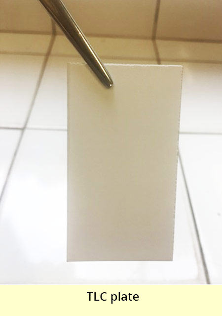 Photo of a white rectangular plate, held by a clip.