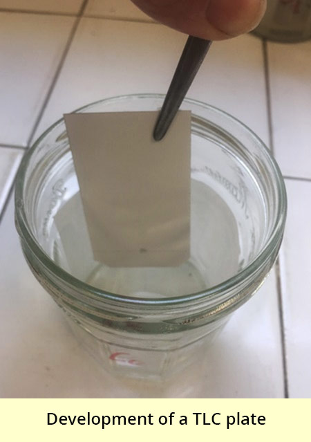 Photo of a white rectangular plate held by a pair of tweezers, dipped in the translucent content of a jam jar. The picture is subtitled : development of a TLC plate.