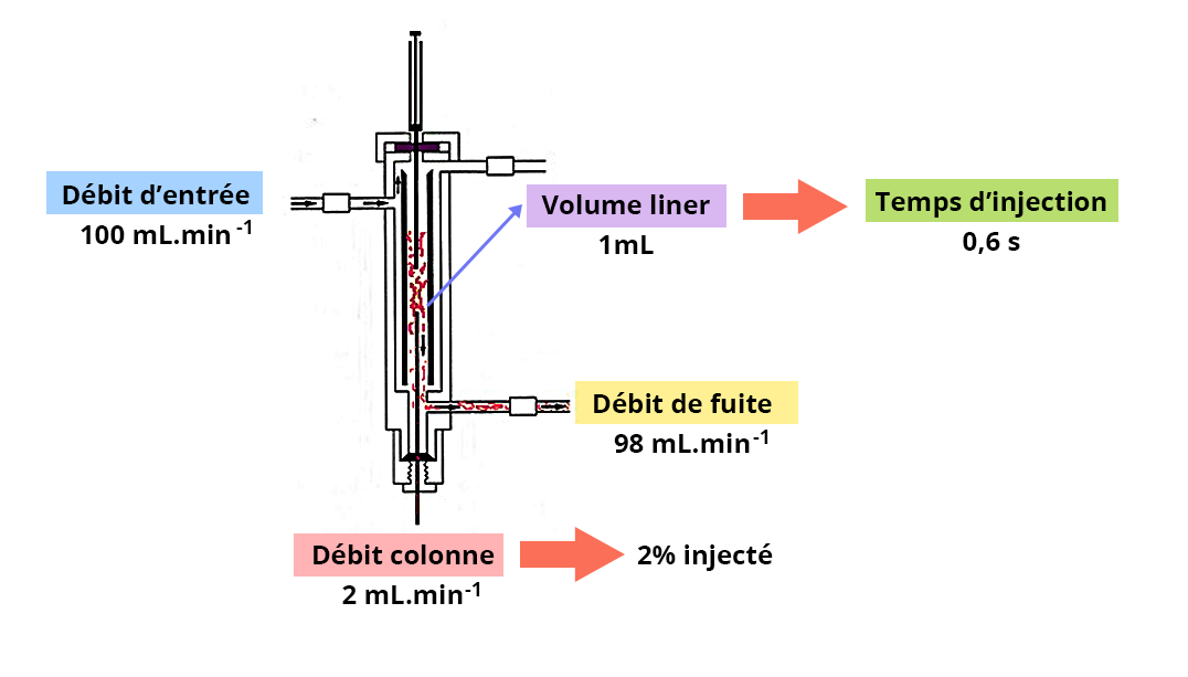 Schéma représentant les volumes et débit dans l'injecteur. Débit d'entrée 100mL/min, de débit de la colonne 2 mL/min (2% injecté), le débit de fuite 98ml/min, et enfin le volume liner 1mL, avec un temps d'injection de 0,6s.
