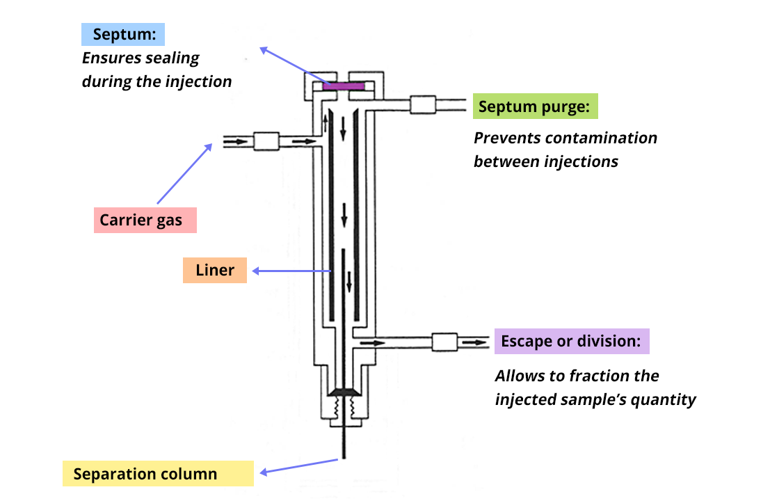 Diagram of the injector. In the septum, which ensures the sealing during the injection. On the left, with an arrow entering the injector the carrier gas. Vertically, along the injector, the liner. In the central axis of the injector: the separation column. At the top of the injector, on its right, a septum purge pipe, which avoids contamination between injections. Finally, at the outlet of the injector, the leak or division, which allows to fractionate the quantity of injected sample.