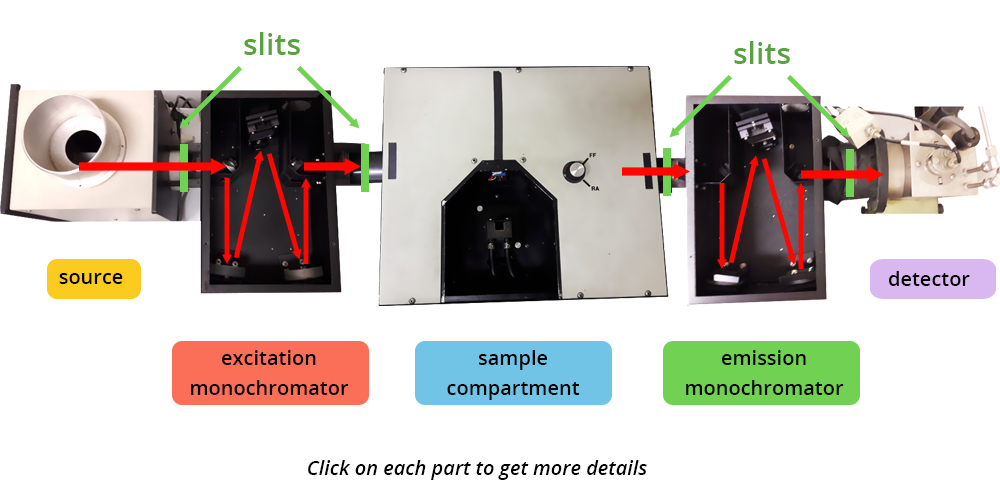 illustrated picture of a stationary spectrofluorometer with its different components: the source, the excitation monochromator, the sample compartment, the emission menochromator and the detector. Each component is separated from the other by a slit.