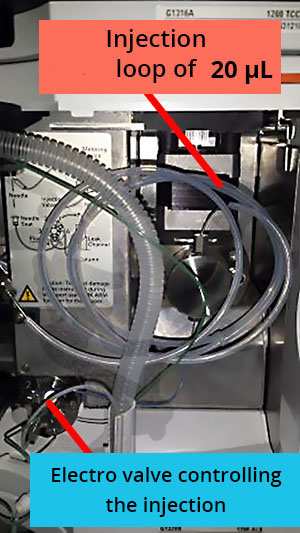 Close-up picture of the injector. At its base is a solenoid valve controlling the injection. Plastic pipes form an injection loop of 20 micro L.