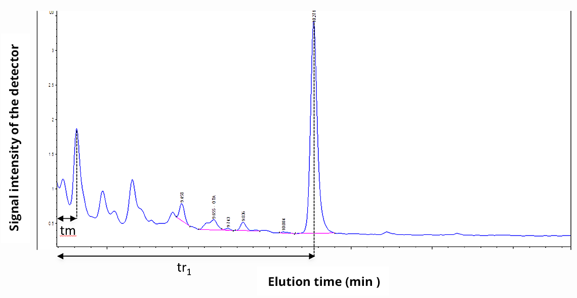 Anotated chromatogram. A first peak is located at elution time tm. A second peak is at elution time tr1.