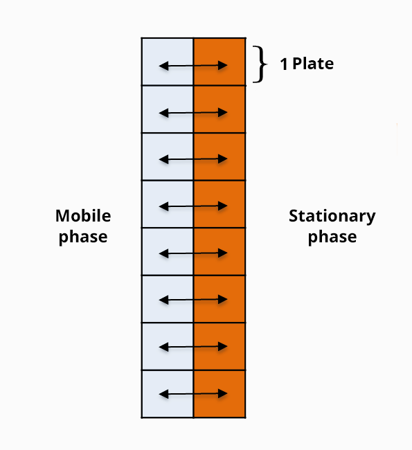 Diagram showing a succession of rectangles superimposed vertically, each rectangle representing a plate. Each plate is divided in 2 horizontally, on the left the mobile phase and on the right the stationary phase. Double arrows symbolize the exchanges between the two phases.