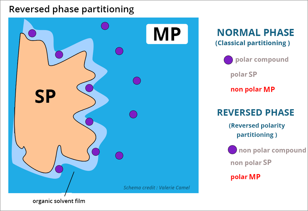 Reverse phase partitioning diagram. The PS stationary phase is on the left, flesh color. Around it is represented a light blue organic solvent film. Finally, the dark blue background color represents the mobile phase PM. Purple circles represent the compounds in the mobile phase and the organic solvent film. In normal phase: polar compound, polar PS and apolar PM. In reverse phase: apolar compound, apolar PS and polar PM.