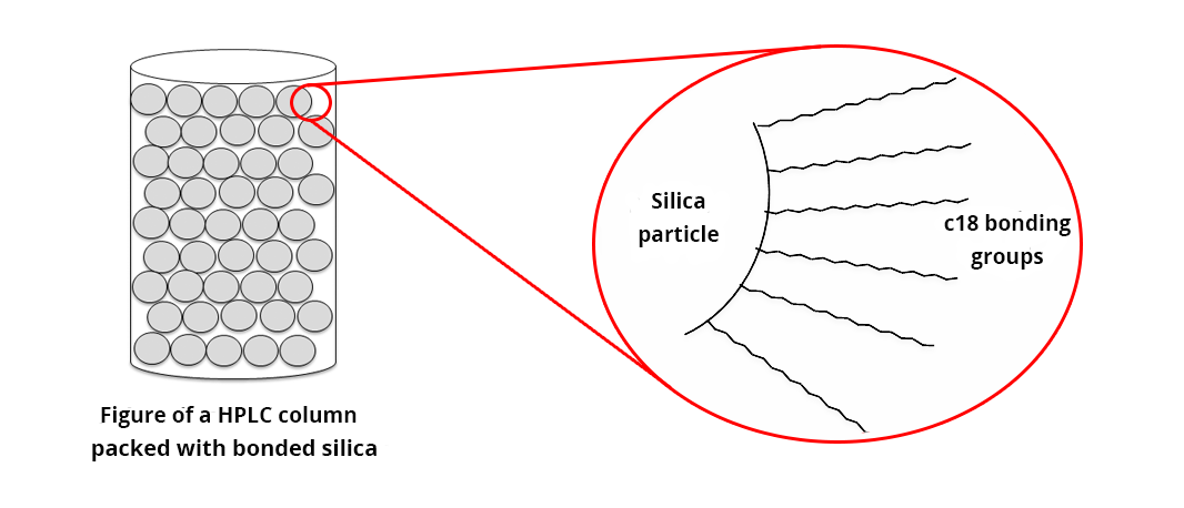 Scheme representing an HPLC column filled with grafted silica particles. The column is symbolized by a cylinder, in which are circles symbolizing the silica particles. A zoom on a silica particle seems to show rays escaping from the particle, with the mention C18 grafts next to it.