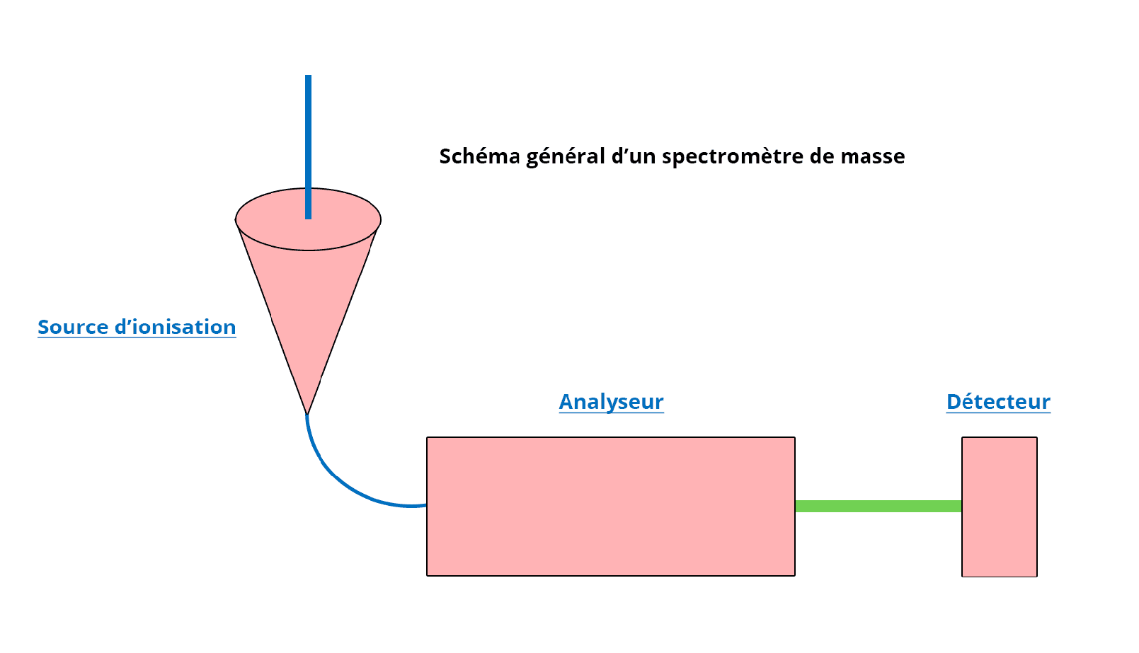 Schéma général d'un spectromètre de masse. A gauche un conne représentant la source d'ionisation. A la pointe du cône se trouve un trait bleu se dirigeant vers un rectangle représentant l'analyseur. Enfin, à droite de l'analyseur se trouve un trait vert le reliant à un autre rectangle, le détecteur.