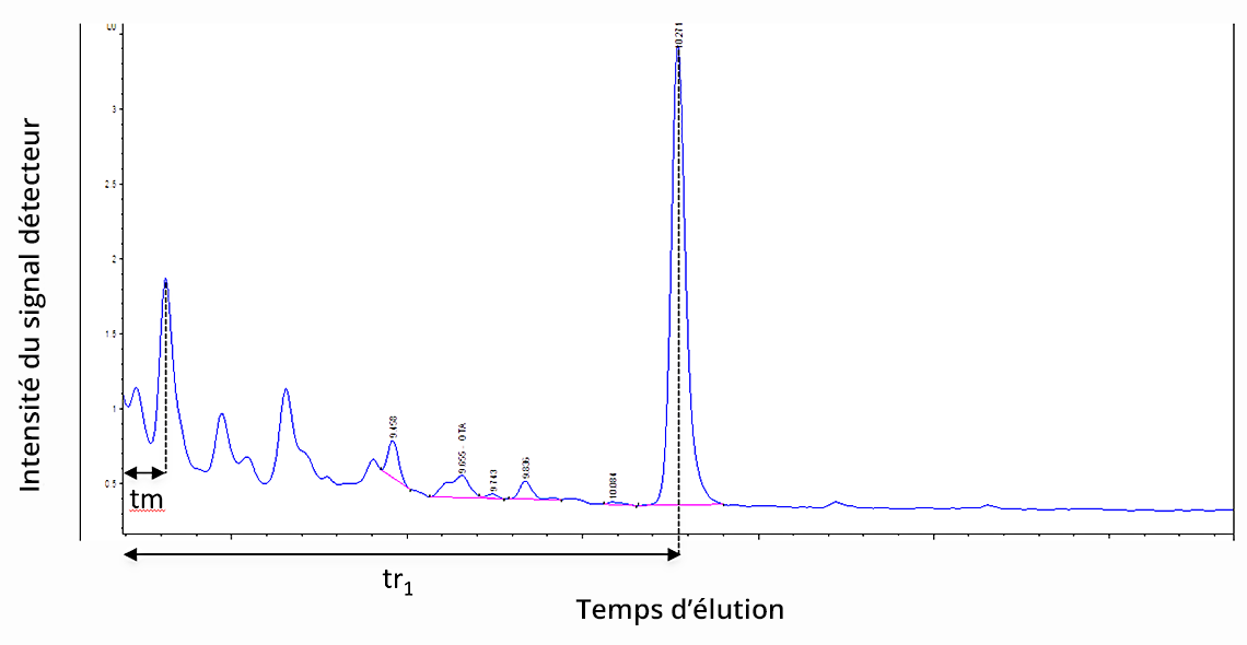 Chromatogramme anoté. Un premier pic se situe au temps d'élution tm. Un second au temps d'élution tr1.