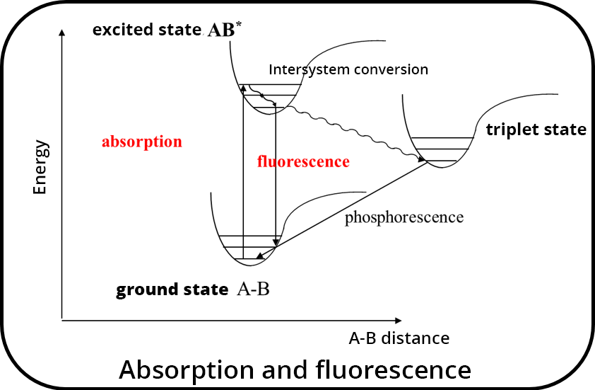 Absorption and fluorescence diagram. We see an axis abscissa "Energy" and an ordinate "distance AB". The energy increasing we go from the ground state A-B to the excited state A-B. The distance increasing, we go from absorption to fluorescence, then phosphorescence and finally the triplet state.