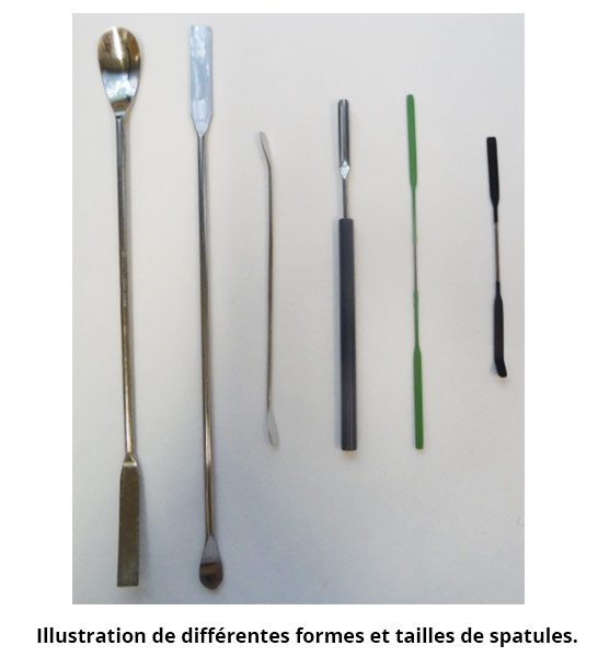 Illustration de différentes formes et tailles de spatules