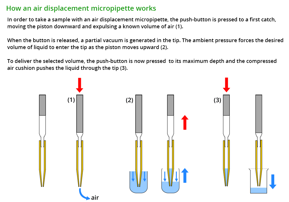 Operation of an air cushion micropipette. To aspirate with an air cushion micropipette, the push button is pushed down to a first notch. The plunger descends, expelling a known volume of air. When the push button is released, a partial vacuum is generated in the tip. The ambient pressure forces the required volume of liquid through the tip orifice. Aspiration occurs and the piston rises. To deliver the volume taken, the push button is pressed. The air cushion is then compressed and the liquid is expelled through the tip.