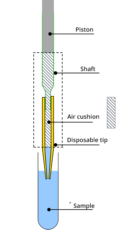 Cross-sectional diagram of a micropipette with air cushion. From top to bottom: piston, tip, air cushion, disposable tip and sample
