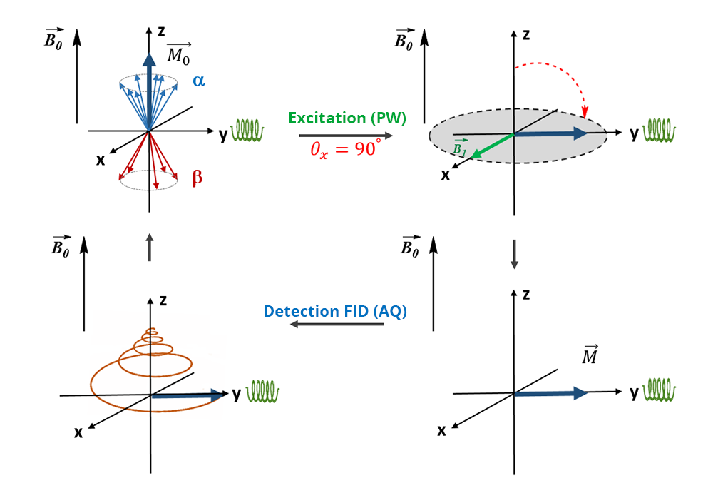 Diagram showing the phases of excitation (PW) and FID detection (AQ).