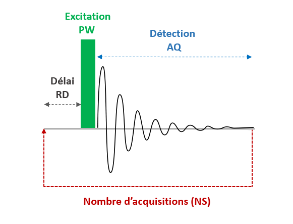 Nombre d'acquisitions (NS) sur toute la durée : Délai RD, Excitation PW et Détection AQ.