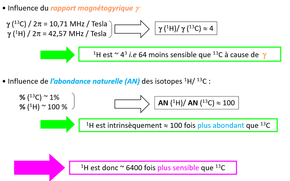 Influence du rapport magnétogyrique gamma et influence de l'abondance naturelle (AN) des isotopes 1H/13C.