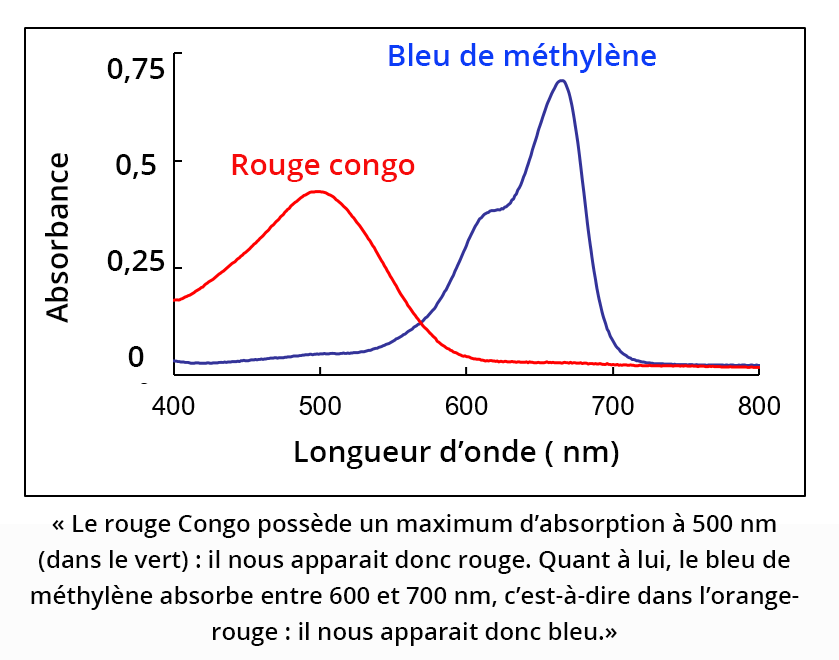 Deux spectres d'absorption : celui du rouge congo et du bleu de méthylène. Le rouge congo possède un maximum d'absorption à 500 nm (dans le vert), il nous apparaît donc rouge. Quant à lui, le bleu de méthylène absorbe entre 600 et 700 nm, c'est à dire dans l'orange-rouge : il nous apparaît donc bleu.