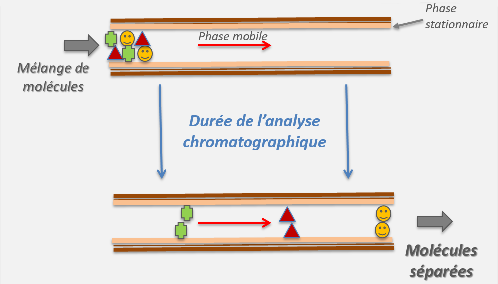Illustration : en haut, la phase stationnaire. Le mélange de molécules à gacuhe évolue dans la phase stationnaire. Au centre, durée de l'analyse chromatographique. En bas, les molécules sont séparées dans la phase mobile.