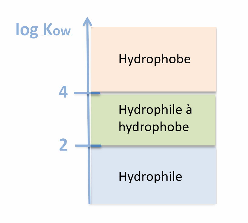 Echelle d'hydrophobie log Kow. En dessous de 2 : hydrophile. Entre 2 et 4 : hydrophile à hydrophobe. Au delà de 4 : hydrophobe.