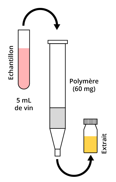 Illustration : l'échantillon (5mL de vin) contenu dans un tube à essai passe par un polymère (60 mg), avec pour résultat l'extrait dans une fiole.