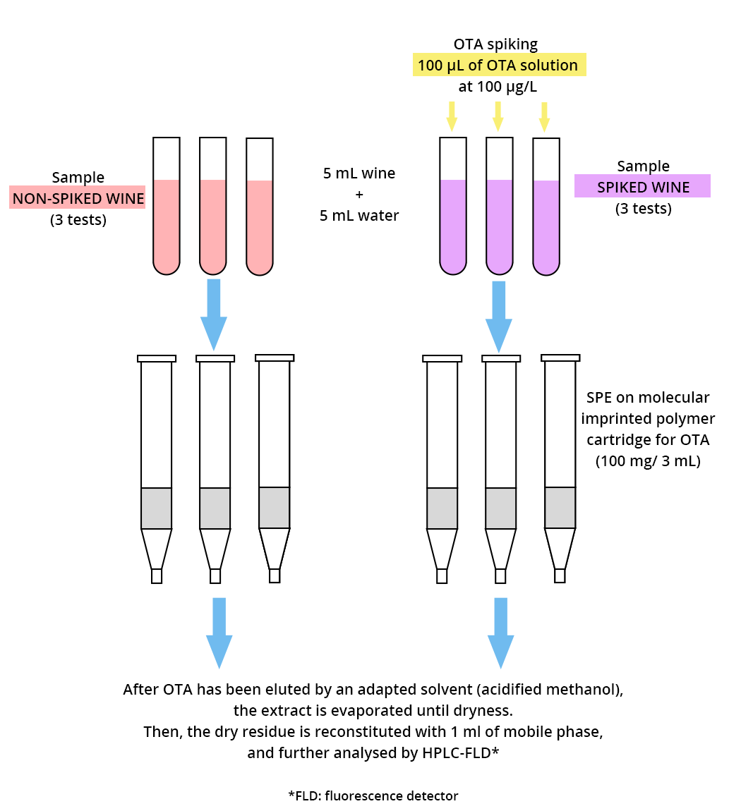 Illustrations of the extractions of the 3 tests with non-doped wine and the 3 tests with OTA-doped wine. After elution of the OTA with a suitable solvent (acidified methanol), the extract is evaporated to dryness, then taken up with 1 mL of mobile phase to be then analyzed by HPLC-FLD (FLD = fluorescence detector).