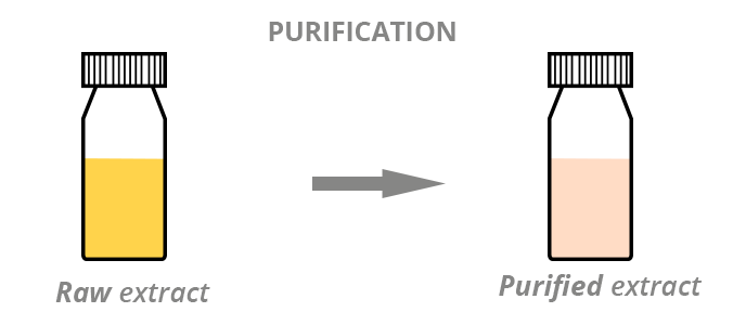 Illustration of two vials. On the left, a raw extract and on the right a purified extract. We go from one to the other by purification.