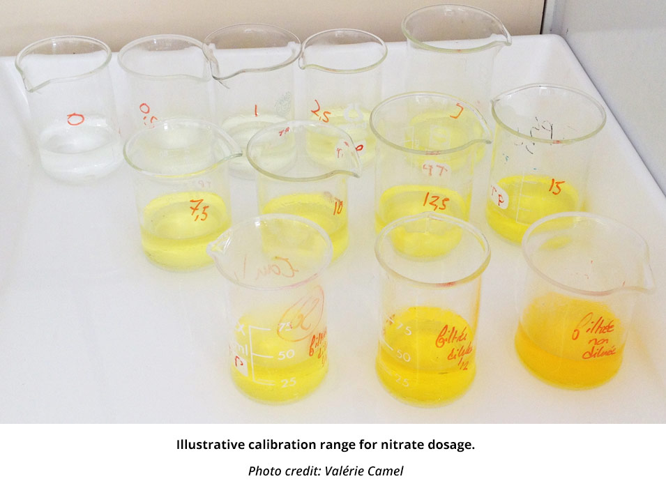 Illustration of a standard range for the determination of nitrates. 12 beakers contain a yellow liquid with a more and more pronounced coloration.