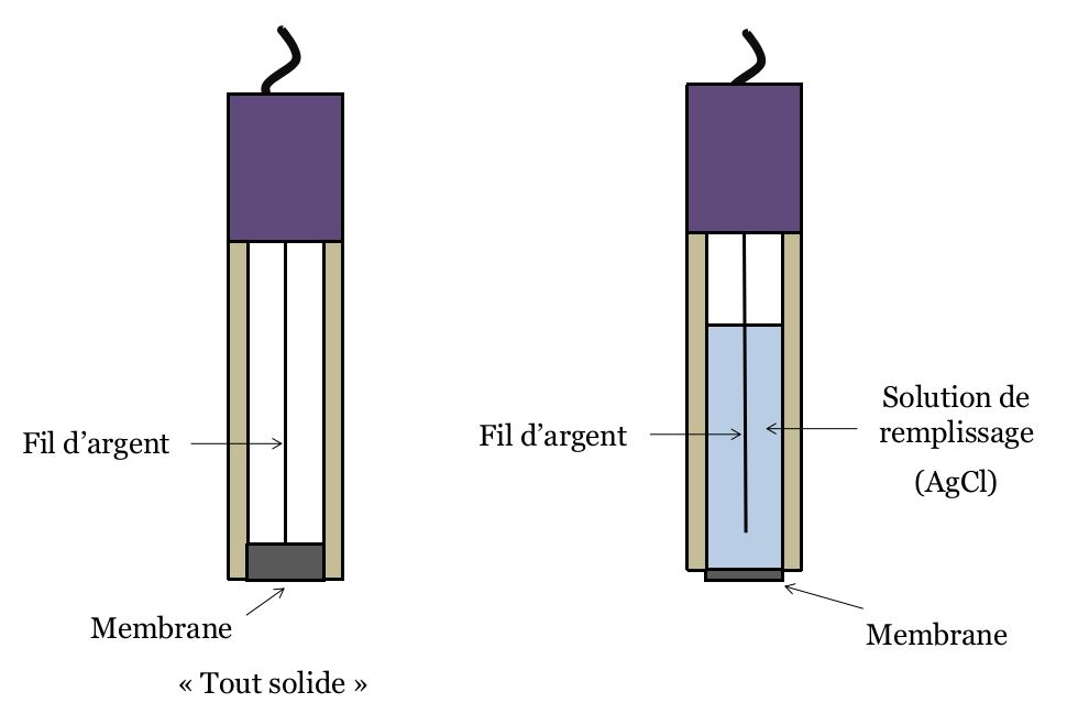 Illustration de deux électrodes sélectives en vue de profil. Une "tout solide", avec à l'intérieur le fil d'argent, et à la base une membrane épaisse en contact avec le fil d'argent. L'autre : le fil d'argent baigne dans une solution de remplissafe (AgCl), la membrane à la base est plus fine et n'est pas en contact direct avec le fil d'argent.