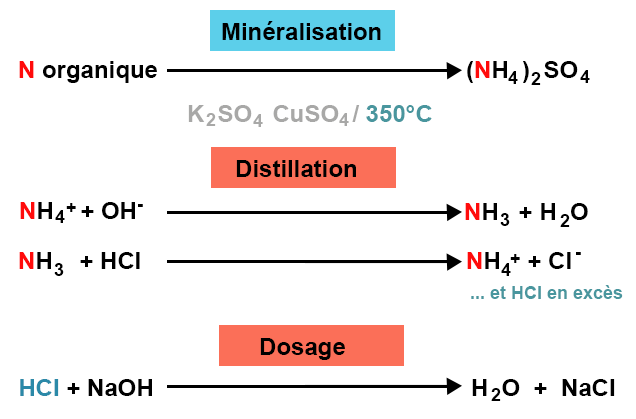 Minéralisation : N organique devient (NH4)2 SO4. Distillation : NH4+ + OH- devient NH3 + H20. NH3 + HCl devbient NH4+ + Cl-. Dosage : HCl + NaOH devient H20 + NaCl