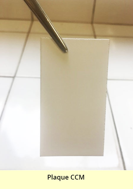 Photo d'une plaque rectangulaire de couleur blanche, tenue par une pince.