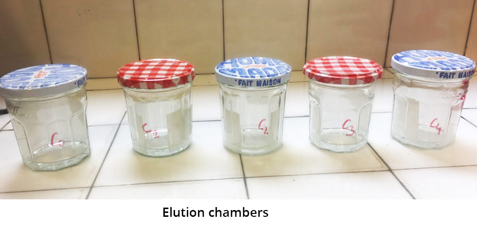 Pictures of 5 elution cuvettes. From left to right they are marked with the handwritten words C0 to C4.