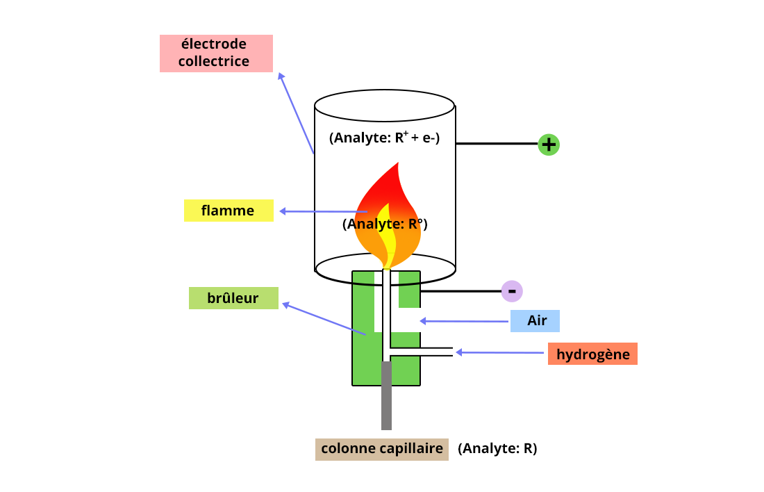Schéma d'un détecteur à ionisation de flamme. le bruleur au centre, avec en dessous la colonne capilaire, et sur sa droite les entrées d'air et d'hydrogène. Au dessus du bruleur la flamme. La flamme est entourée d'un cylindre représentant l'électrode collectrice.