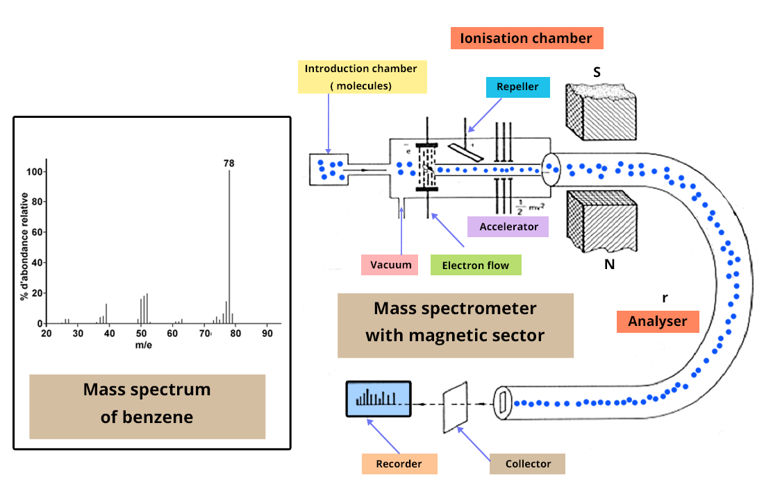 Diagram of a magnetic sector mass spectrometer. At the beginning the chamber where the molecules are introduced. They pass through a vacuum, then a flow of electrons, then the repulsor and finally a gas pedal. These elements constitute the ionization chamber. Then the molecules pass through the analyzer, through the collector and finally to the recorder.