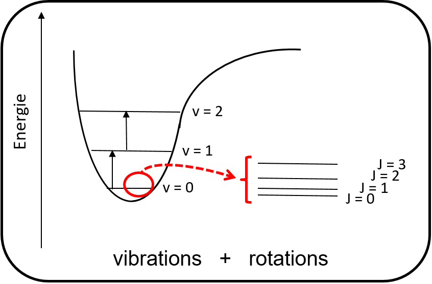 Diagramme titré vibrations + rotation. On y voit un axe abscisse Energie, une courbe à tendance décroissante puis croissante. Dans le creux de la courbe, différents paliers de bas en haut, accompagnés des libellés v=0, v=1 et v=2, des flèches passant d'un palier à l'autre.