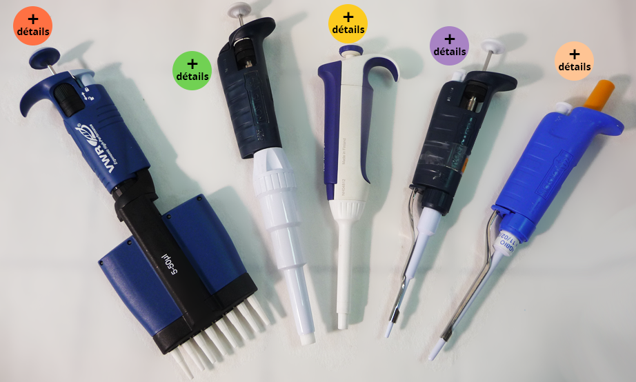 Photo présentant cinq micropipettes différentes