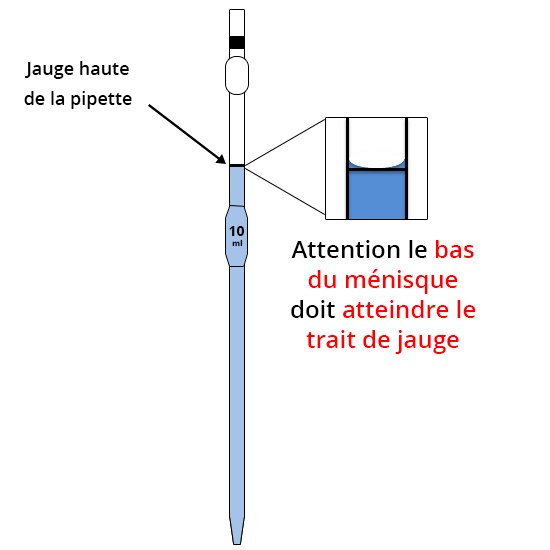 Jauge haute de la pipette.  Attention : le bas du ménisque doit atteindre le trait de jauge.