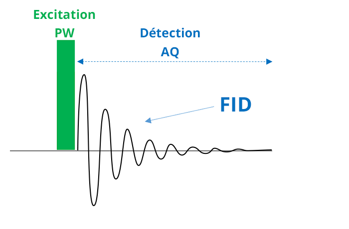 Schéma d'un signal FID. Il se présente sous forme d'une sinusoïde dont l'amplitude décroit au fur et à mesure de la période de d'étection AQ. L'amplitude maximum au début du signal correspond à l'excitation PW.
